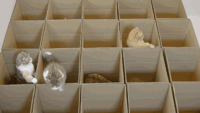 鐫″墠绉戝鏁呬簨,鐫″墠鏁呬簨绉戝瀹為獙