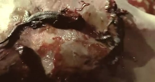 古代最邪恶的“苗疆八大巫蛊术”,这个皇帝就是因他家破国亡