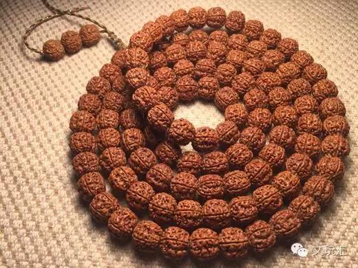 金刚菩提青皮怎么挑选,3000块钱能买什么样的金刚菩提