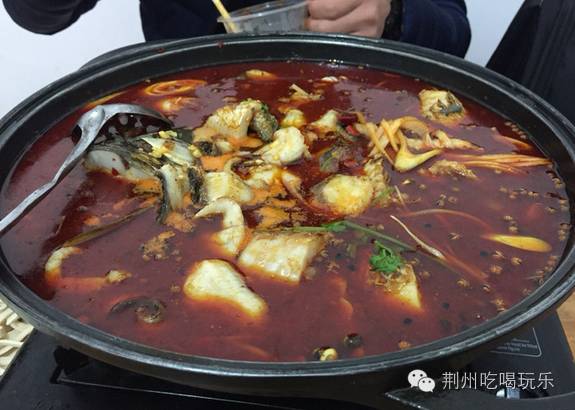 湖北荆州海洋世界美人鱼,十大绝美美人鱼