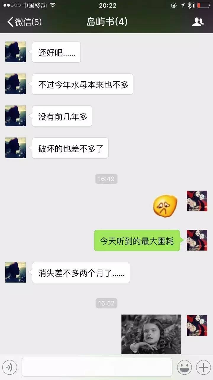 帕劳水母湖水母变少,帕劳水母湖的水母都去哪儿了