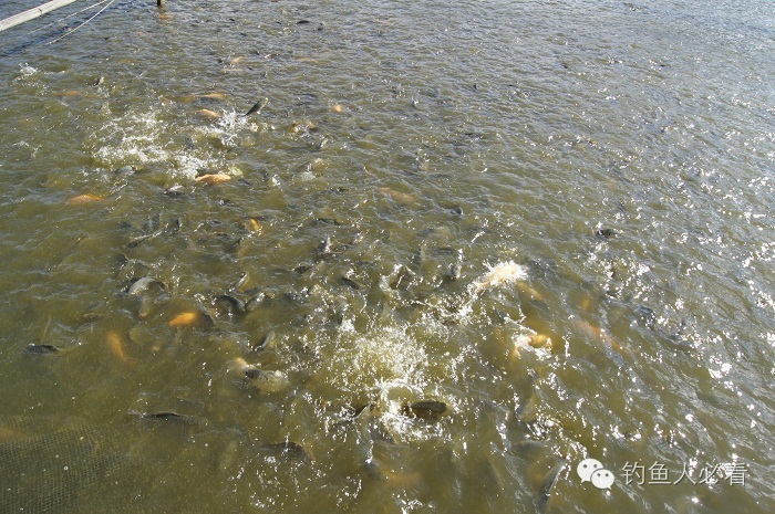 一天温差多少不适合钓鱼,一天中哪个时间段适合钓鱼