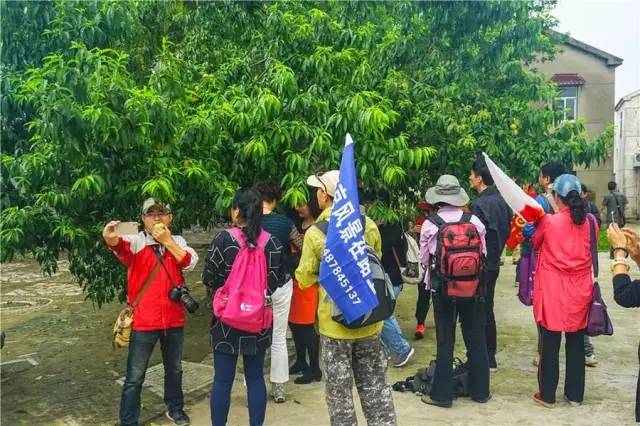 横溪西祠村宴,吃出最地道的横溪味,什么是横溪味?点开就知道了!