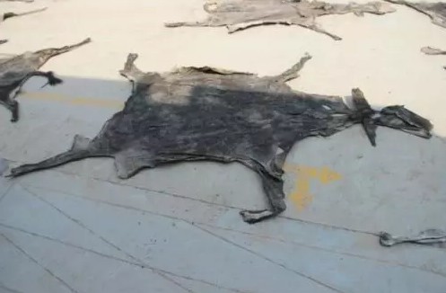 微商买的东西拼多多,拼多多买到冒牌食品