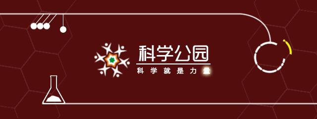 仿古豪华公厕,南街豪华公厕