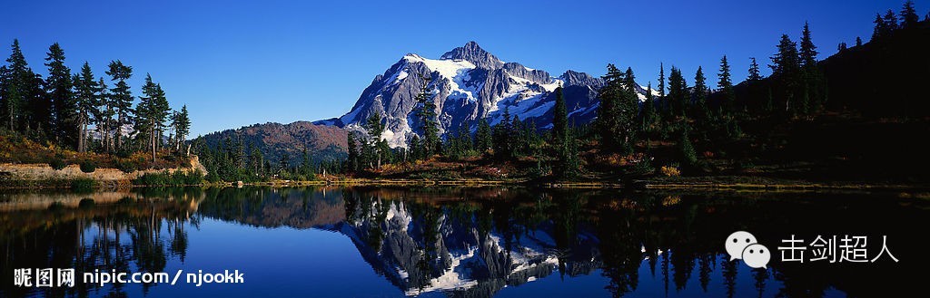 盘点足球场上裁判挨打,盘点裁判球被伤到的次数