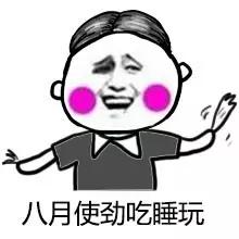 高考作文表情包和文体,高考万能作文图片