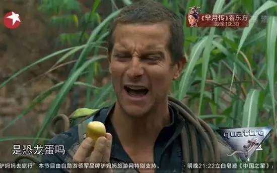 去看魔兽电影,看魔兽的顺序