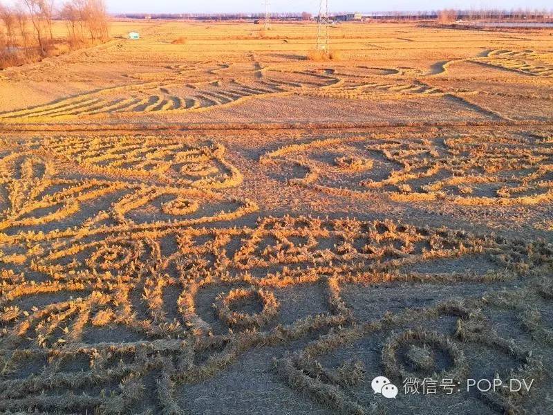 盘锦稻草艺术节,芝麻开门特别节目