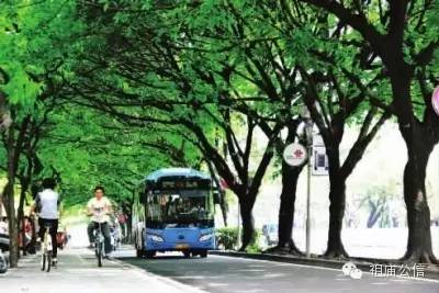 好消息佛山禅城,佛山吸引人的地方