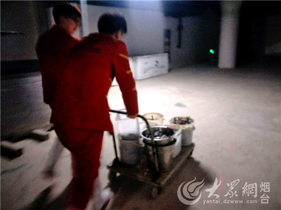 烟台：驯养师与海狮伙伴“贝克”的故事