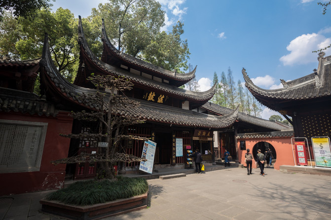 初来乍到1到6,从早到晚怎么逛成都