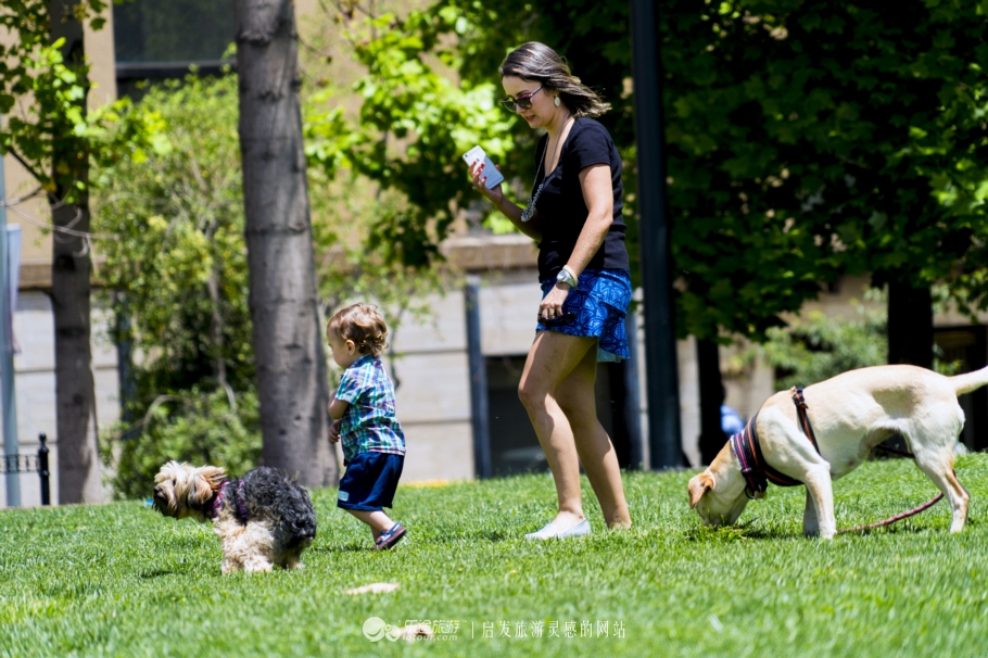 世界上换了人种的国家,世界上以汉族为主体的国家