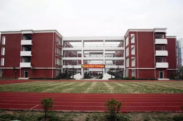 武汉国际学校现状及发展趋势,国际学校市场现状及未来发展趋势