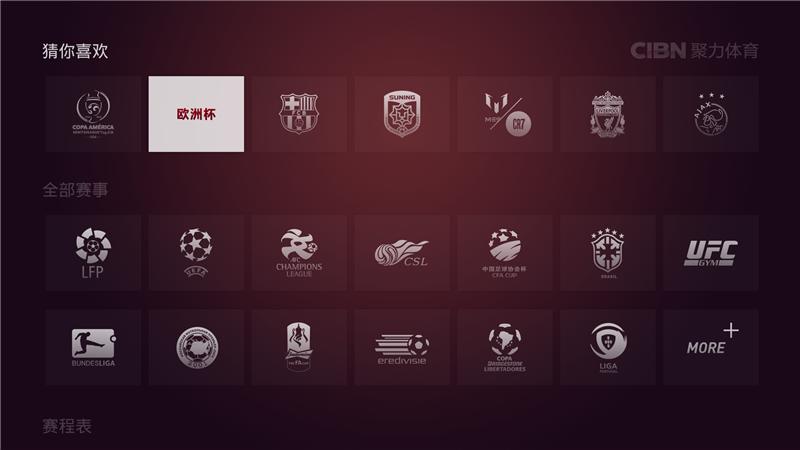 欧洲杯美洲杯回放视频,2016欧洲杯赛程所有视频