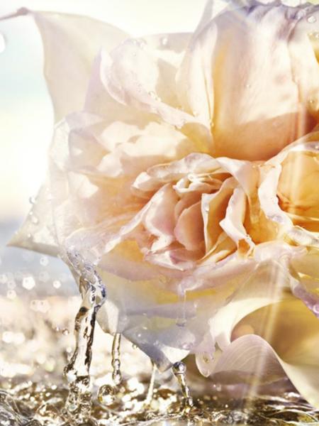 dior迪奥真我,迪奥真我dior