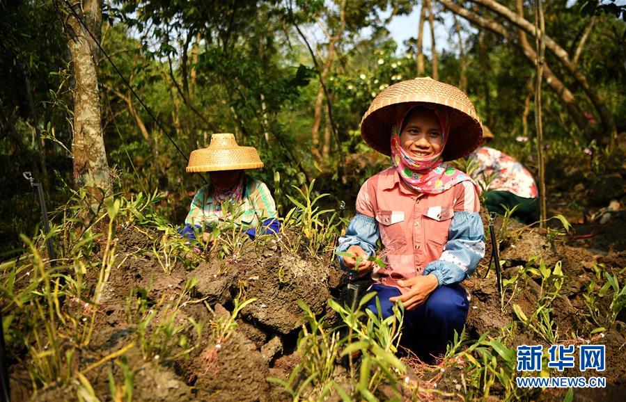 立足独特优势勇立改革潮头——习*平近**总书记在海南考察回访记