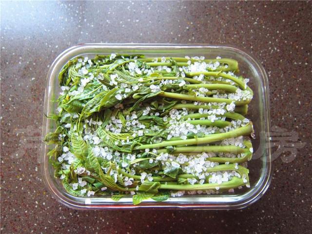 香椿芽腌制方法好吃还放不坏,香椿芽的腌制方法和时间