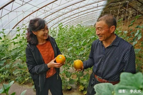 磴口的华莱士哪里有卖,天下第一瓜只有在磴口能吃上