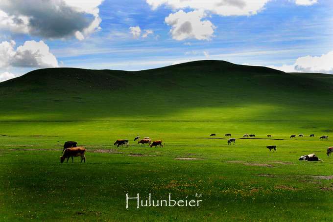 呼伦贝尔拍照攻略,呼伦贝尔美景拍照