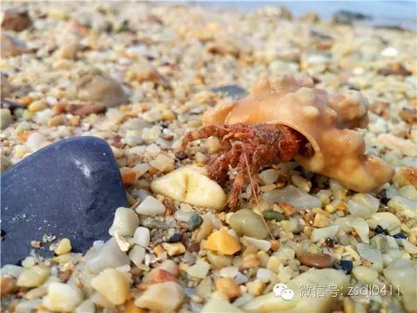 大连小众海边滨海路,大连最美海滨路在哪