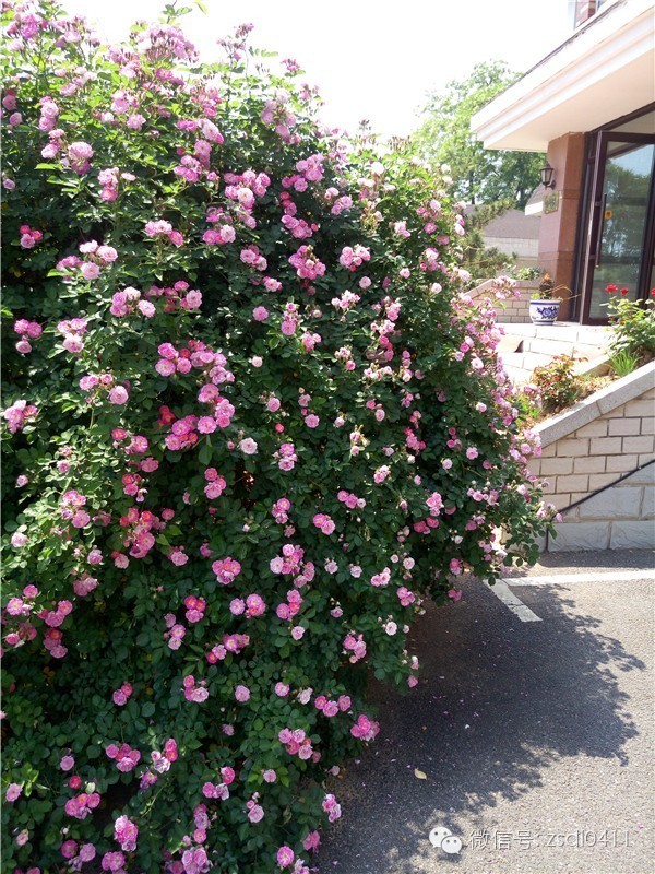 大连小众海边滨海路,大连最美海滨路在哪