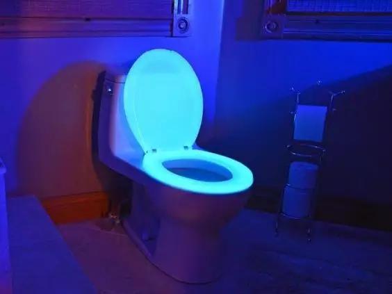 苹果也出马桶！还有情侣款！与她一起拉”粑粑“是什么感觉！