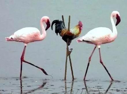 实况足球2016一球成名修改,2016欧洲杯夺冠历程