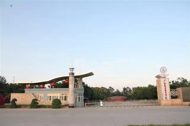 在南宁读大学消费高吗,在南宁读中专学校好吗