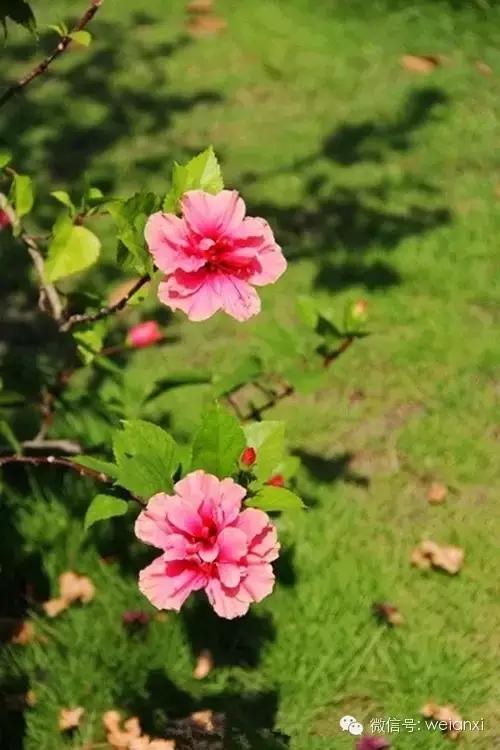 这就是传说中的安溪？是欺负我没出过门吗？