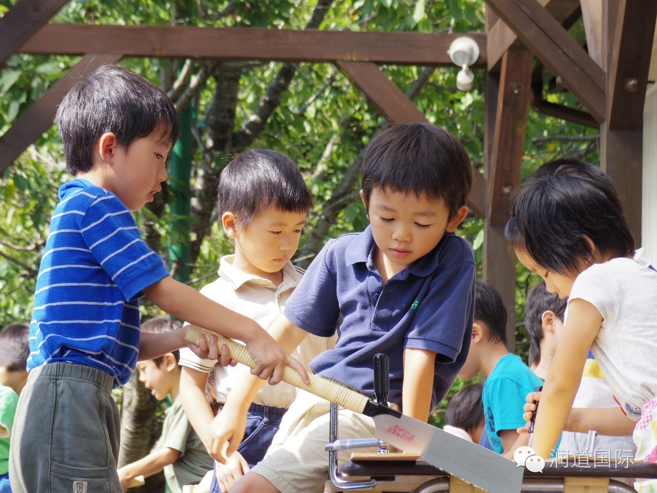 风之谷幼儿园教育特色,风之谷幼儿园青海