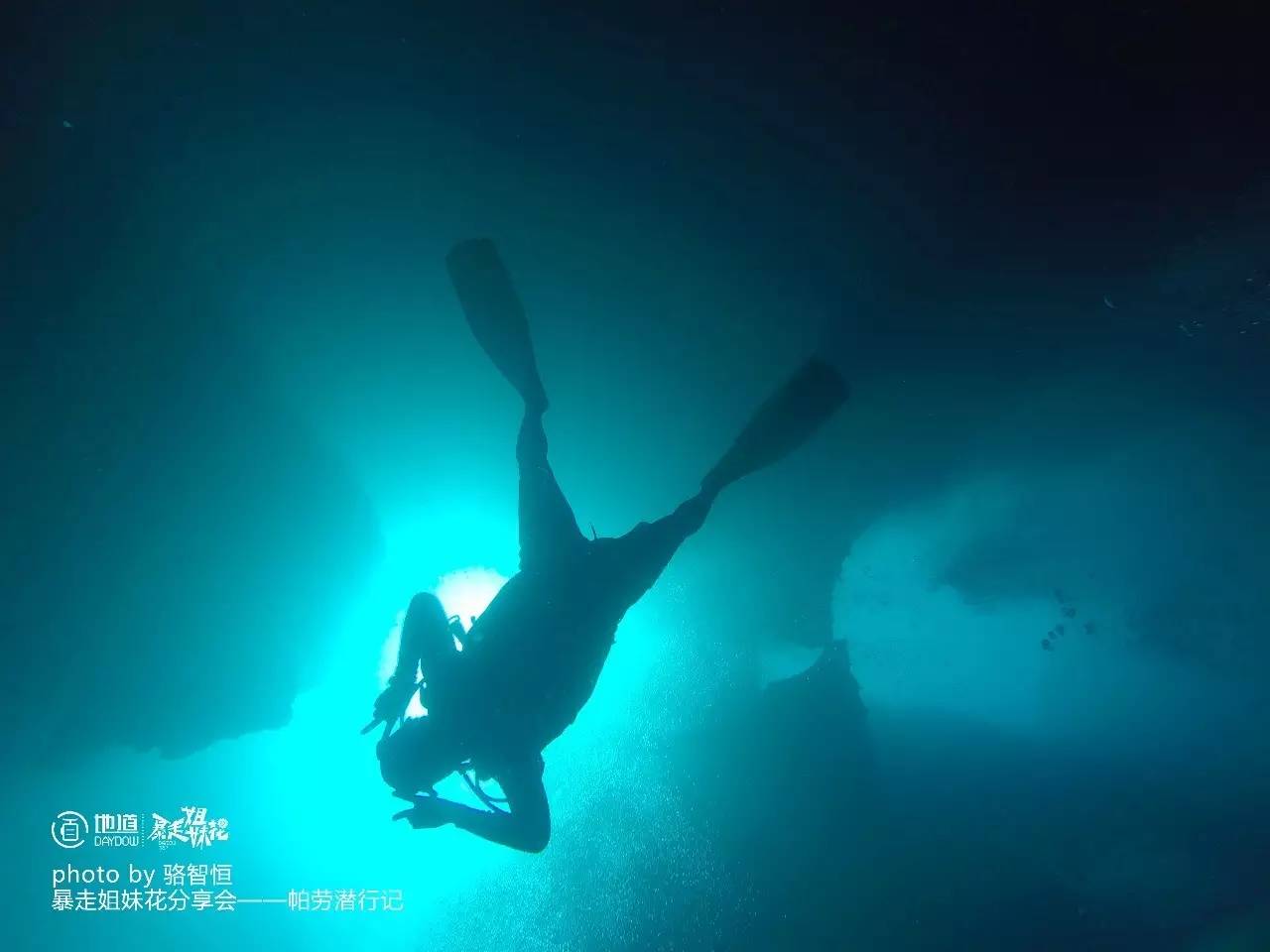 帕劳攻略,帕劳自由行全攻略