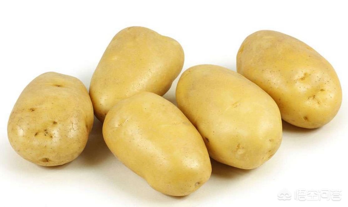 孕期可以吃土豆薯条吗,孕妇可以吃薯条膨化食品吗