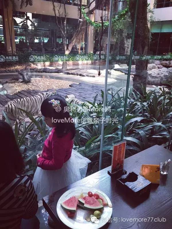 广州旅游攻略长隆野生动物园,广州长隆野生动物园自由行攻略