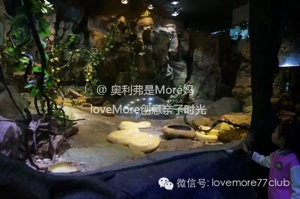 一日游广州长隆野生动物园攻略,广州长隆野生动物园自由行攻略