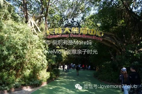 一日游广州长隆野生动物园攻略,广州长隆野生动物园自由行攻略