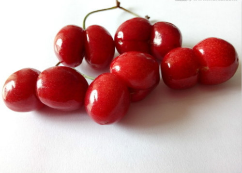 关于樱桃的那些事调查表,最近樱桃有什么问题吗