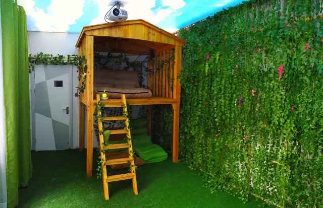 吐血整理的长沙攻略,长沙四方坪欧洲杯看球