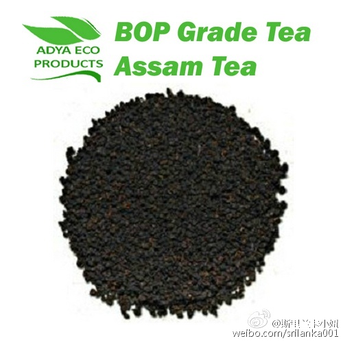 新手小白入门指南买茶小技巧,小白学茶的100个基础