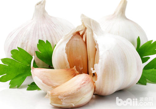 猫咪常用的驱虫药都有哪些,猫咪驱虫最管用的东西是什么