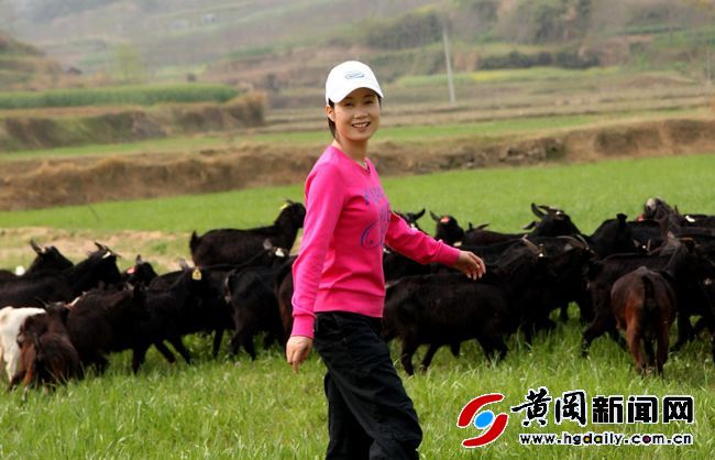 田园牧歌——刘锦秀回乡创业15年唱响“牧羊曲”