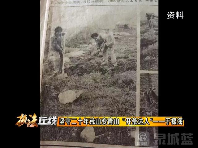 坚守二十年秃山变青山南部山区有个开荒达人于禄海