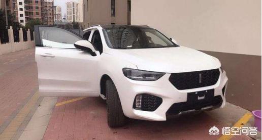 suv干式双离合好还是湿式双离合好,湿式双离合变速箱有哪些车型