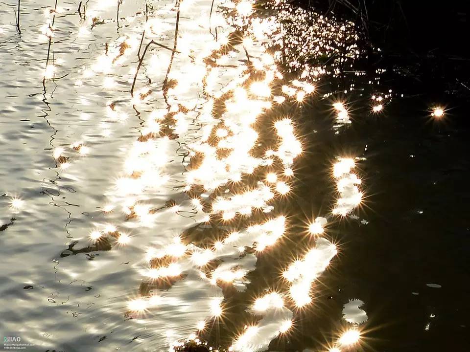 深度好文西*姑北**娘安家在苏州，讲述普通人如何赚到第一个一百万