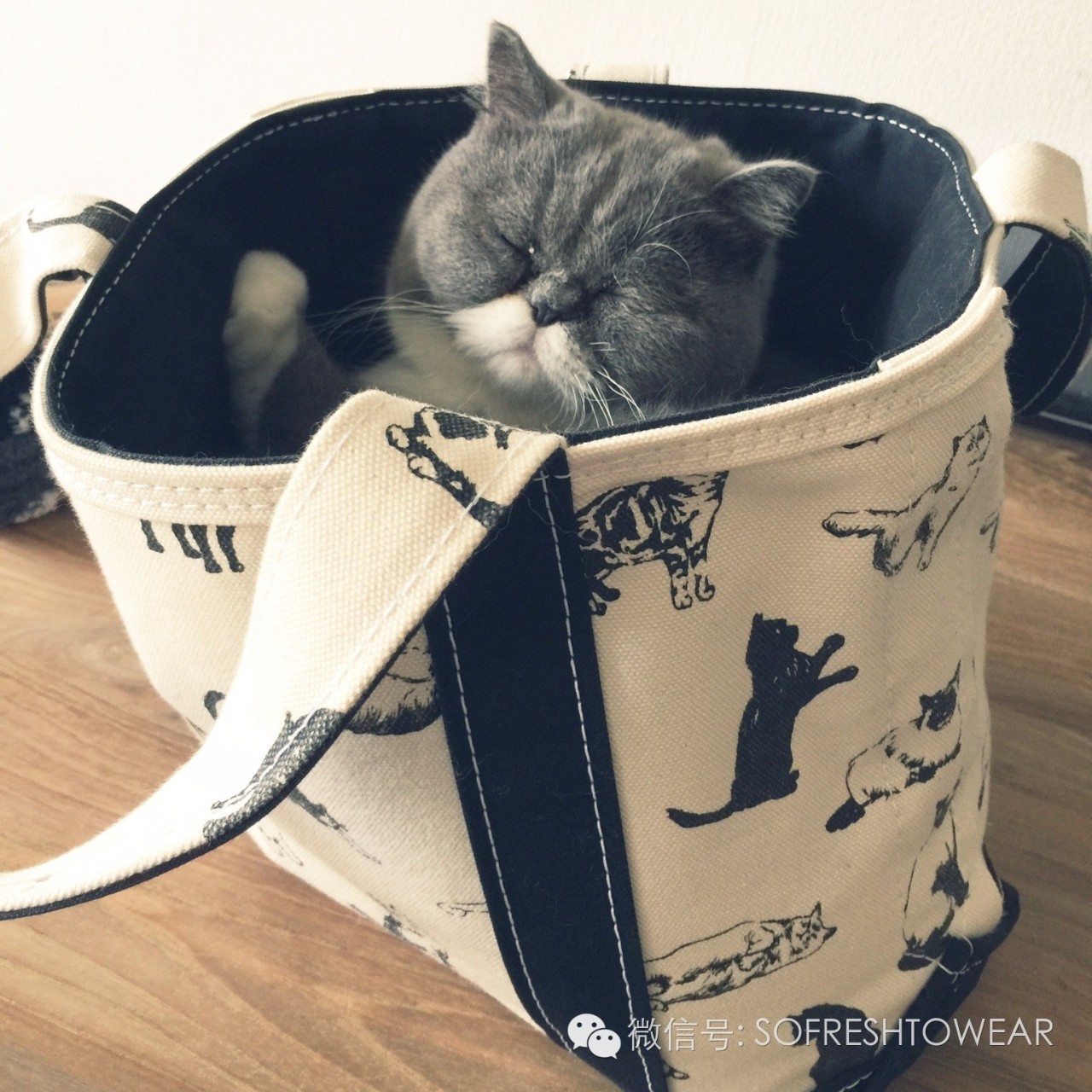 傲娇|老子背的这只包，谁敢说它不时髦