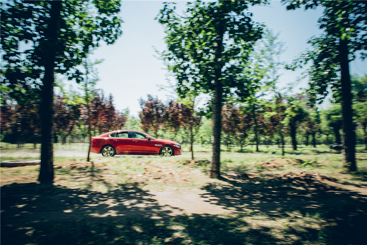 陈震老款捷豹xe试驾评测,陈震评捷豹xe尺寸