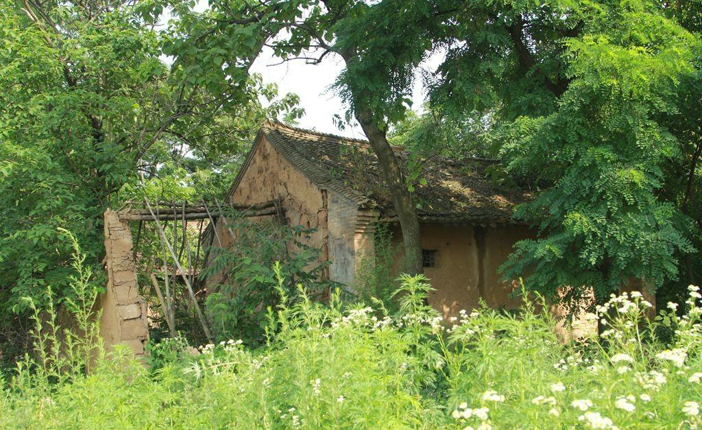 瑞瑞4岁生日照片,瑞瑞周岁生日