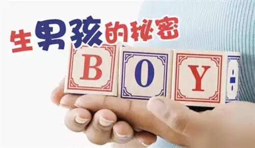 吃海带生男孩还是女孩,吃海带会生女儿还是儿子的概率大