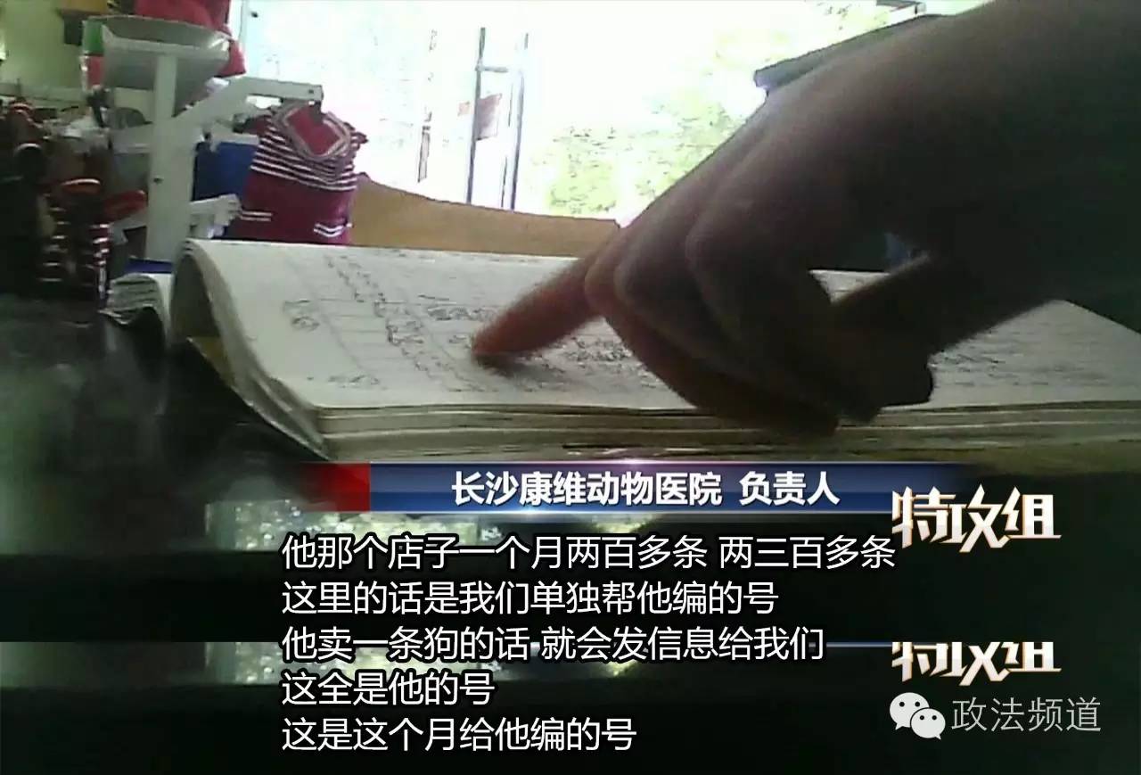 把狗买回家结果有病,购买宠物狗几天就死亡