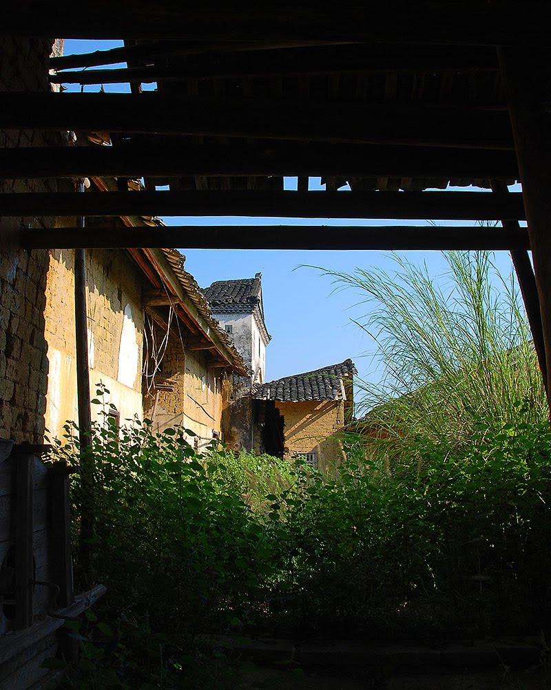 瑞瑞4岁生日照片,瑞瑞周岁生日